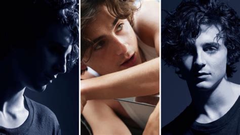 who is in the chanel bleu commercial|chanel commercial with timothee chalamet.